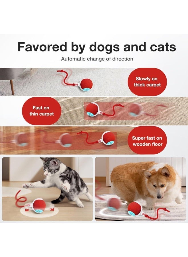 Cat toy ball with bird chirping sound, dog toy ball, mobile cat ball with elastic net tail, automatic kitten toy for boring indoor adult cats - Image 2